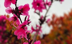 怎样把女朋友弄成喷泉